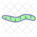Worm Earthworm Fertilizer Icon