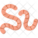 Worms  Icon