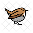 Wren Bird Animal Icon