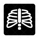 X Ray Icon
