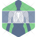X Ray Medical Healthcare Icon