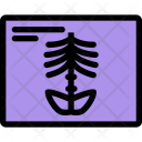 X Ray Clinic Icon