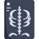 X Ray X Rays Medical Icon
