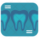 Teeth X Ray Checking Icon