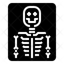 Xray Ray Bone Icon