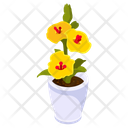 Yellow Hibiscus Icon