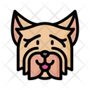 Yorkshire Terrier Dog Animal Icon