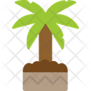 Yucca Houseplant Mexican Icon