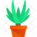 Yucca Cane Plant  Icon