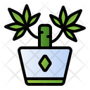Yucca plant  Icon