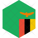Zambia Flag World Icon
