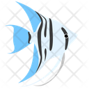 Zebra Blue Angelfish Sea Creature Animal Icon