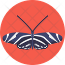 Zebra Butterfly Butterfly Insects Icon