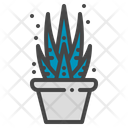 Zebra plant Icon