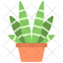Zebra Plant Icon