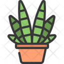 Zebra Plant Icon
