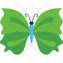 Zigzag Wings Insect Icon