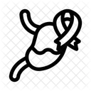 胃、臓器、リボン アイコン