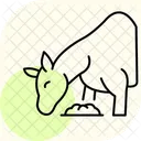 干し草を食べる馬  アイコン