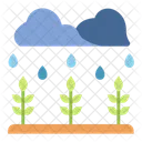 비 식물 비 식물 아이콘