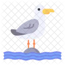 갈매기 새 동물 아이콘