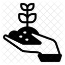 원예 식물 아이콘