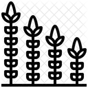 옥수수  아이콘