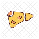 간부전 간염 치명적 아이콘