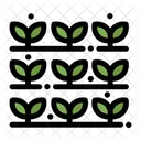 재배자 자연 재배자 자연 아이콘