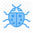 무당벌레  아이콘