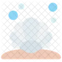 바다 조개 조개 아이콘