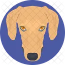 犬  アイコン