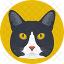 猫  アイコン