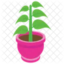 鉢植え、屋外植物、自然 アイコン