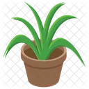 鉢植え、屋外植物、自然 アイコン