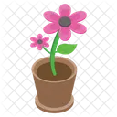 鉢植え、花、屋外植物 アイコン