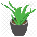 鉢植え、屋外植物、自然 アイコン