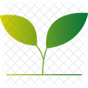 葉植物、緑の葉、観葉植物 アイコン