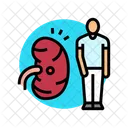 腎臓、男性、病気 アイコン
