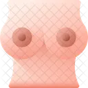 胸-  アイコン