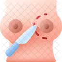 胸-  アイコン