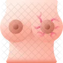 胸-  アイコン