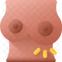 胸-  アイコン