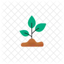土から育つ植物  アイコン