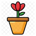 화분 화분 화분 아이콘