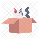 상자 안의 고양이 고양이 새끼 고양이 아이콘