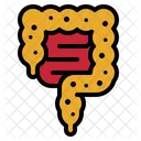 큰 결장  아이콘