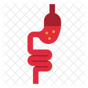 소장  아이콘