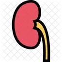 腎臓、クリニック、医学 アイコン