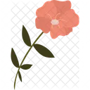 꽃  아이콘